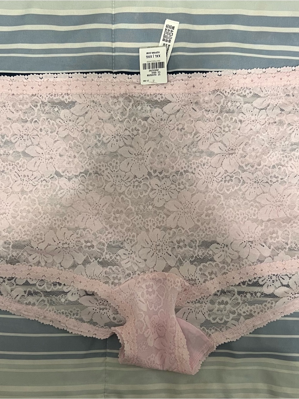 Victoria's Secret Pale Pink Lace Boyshorts